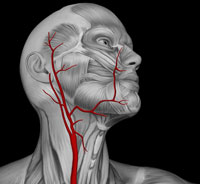 sonnaya-angioplasty200